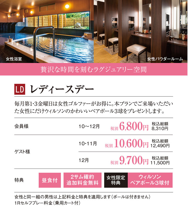 レディスプラン